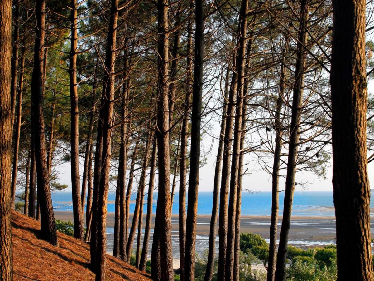 Maison Moderne Pres Plage Aiguillon - 2 Chambres, Terrasse, Jardin, Parking - Calme Et Confort - Fr-1-420-63 Arcachon Buitenkant foto